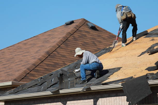 Best Asphalt Shingles Roofing  in Homer City, PA